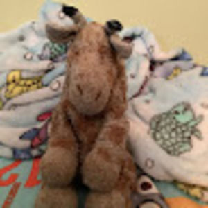 Meet your Posher, Pam